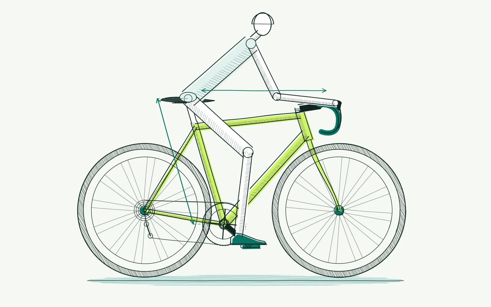 New cyclist viewed from the side with saddle height and distance to the brake hoods marked as initial checks.