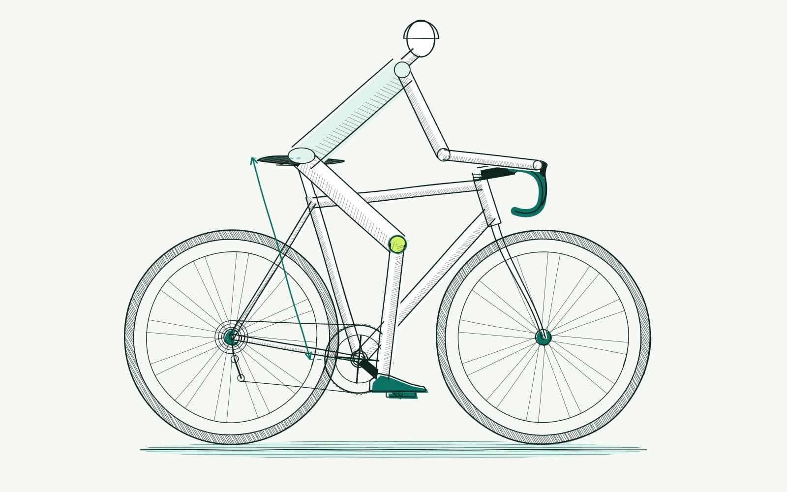 A cycling leg through the pedal stroke, with the knee highlighted and a measurement from bottom bracket to saddle.